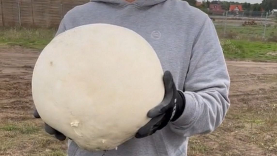 Kobieta pochwaliła się swoim znaleziskiem na TikToku