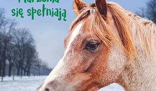 Deresz z parkowej stajni. Marzenia się spełniają. Tom 4