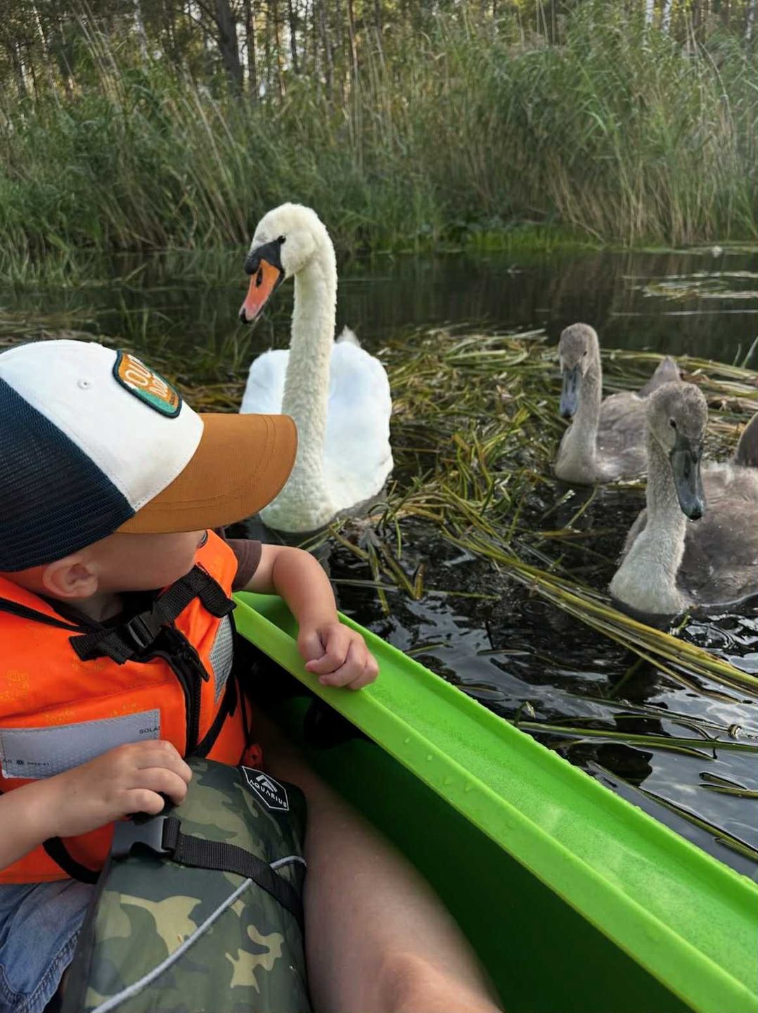 Anna Dereszowska pochwaliła się rodzinnymi kadrami