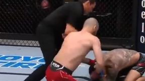 Łooo! Wątroba zdemolowana. "Ninja" z Gruzji ponownie nokautuje [WIDEO]