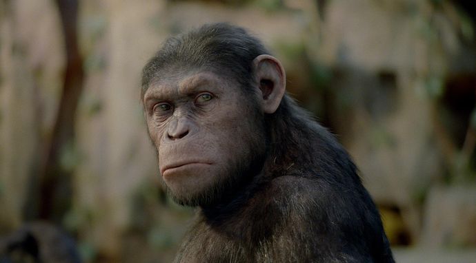 Geneza planety małp