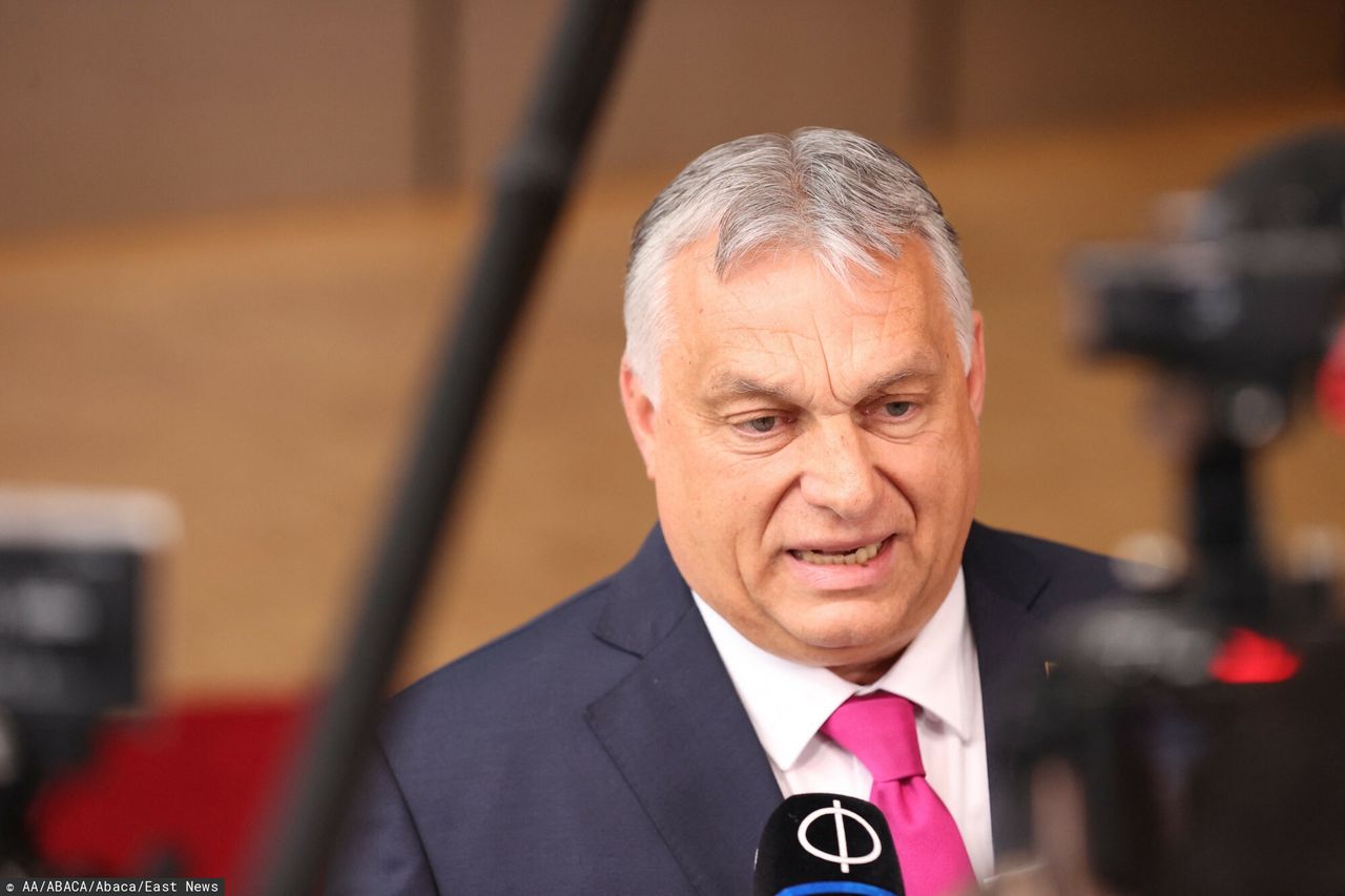 Miliard euro na dotowanie propagandy. Zaskarżyli decyzję węgierskich władz