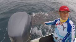 Spotkanie z ogromnym rekinem. Przypadkowe nagranie wędkarzy