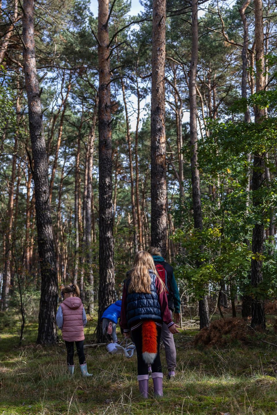 Wojna sołectw na grzyby 
