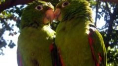 Randkowanie poprawi Twoją efektywność pracy 1