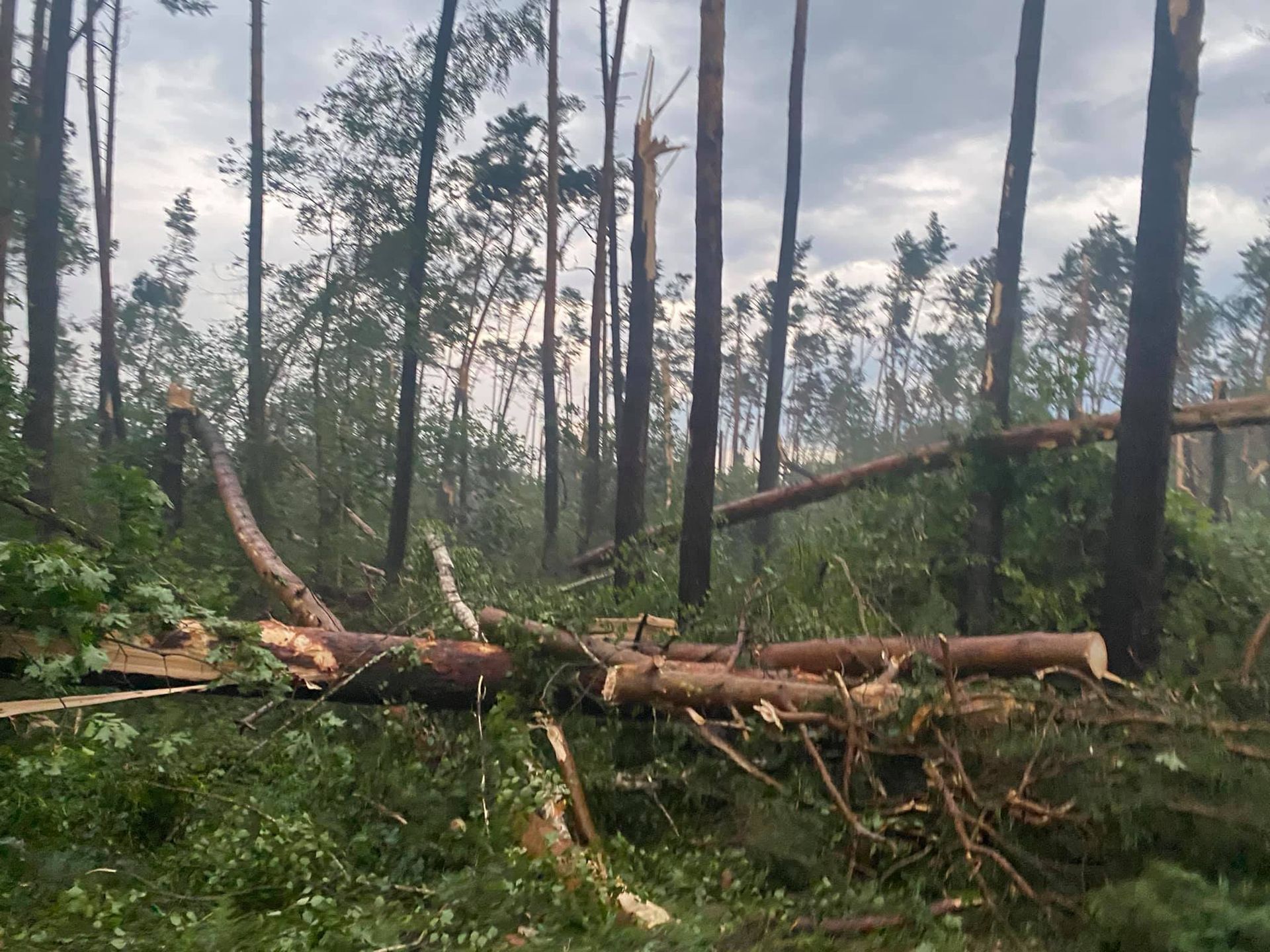 zniszczenia ulewa burza