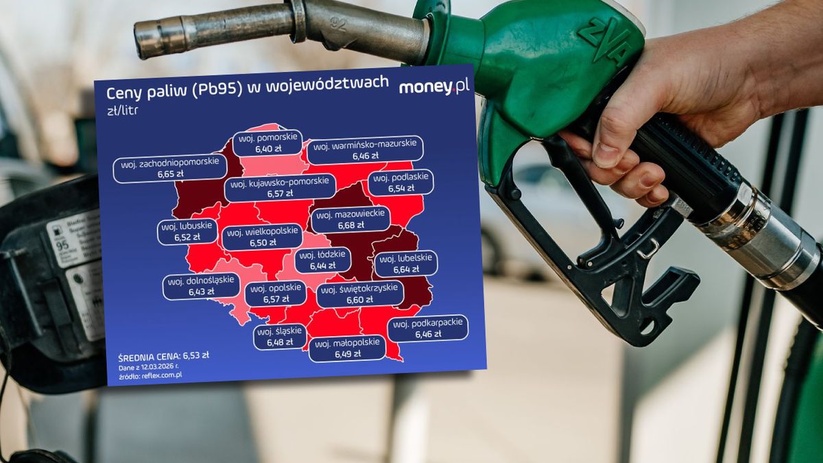Olej napędowy kosztuje już 7,64 zł za litr