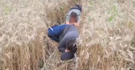 "Żniwiarze" przyłapani. Cała Ukraina może ich zobaczyć