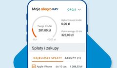 Allegro pożycza coraz więcej. Już co szósty zakup na kredyt