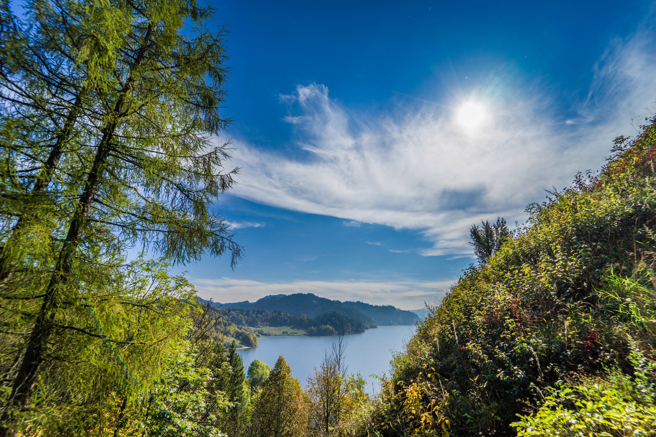 Samyang AF 14 mm f/2.8 FE - ultraszeroko, jasno i w przystępnej cenie [recenzja] 125