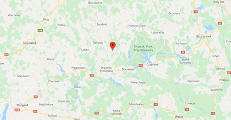 Tragedia pod Drawskiem Pomorskim. Bracia w aucie zatopionym w jeziorze Przytonko