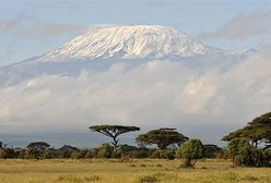 Nikną śniegi Kilimandżaro, pozostaną tylko wspomnieniem?