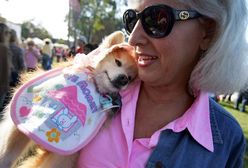 One są zdolne do tego, czego nie potrafi człowiek