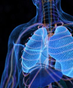 Mikroplastik pierwszy raz wykryty w ludzkich płucach. Niepokojące badania naukowców