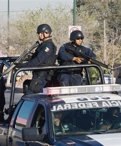 Meksyk i USA ruszyły na wojnę