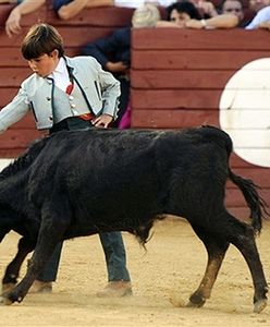 Mimo protestów 10-letni torreador wystąpił na korridzie