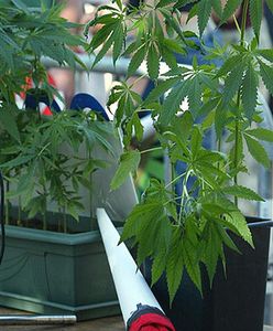 Wpadł podejrzany z pięcioma listami gończymi na karku