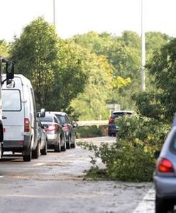 Potężna nawałnica przeszła nad Belgią