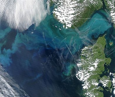 "Chemtrails nad Lublinem" - ostrzeżenia wiszą na słupach