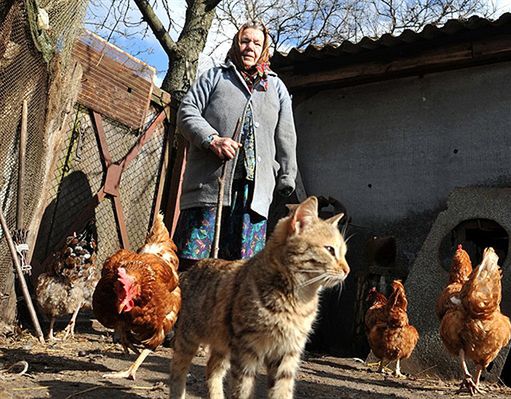 "Żywność z okolic Czarnobyla ciągle napromieniowana"