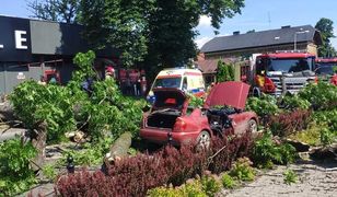 Żywiec. Drzewo runęło na jadący samochód. Matka z córką trafiły do szpitala