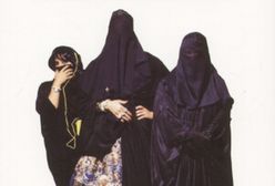 O psach, kotach i aniołach