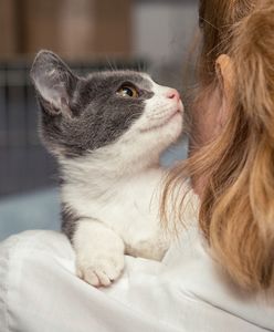 Weekend Adopcji Mars i TOZ – adopcja zwierzaka może zmienić dwa życia