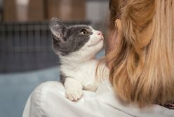 Weekend Adopcji Mars i TOZ – adopcja zwierzaka może zmienić dwa życia