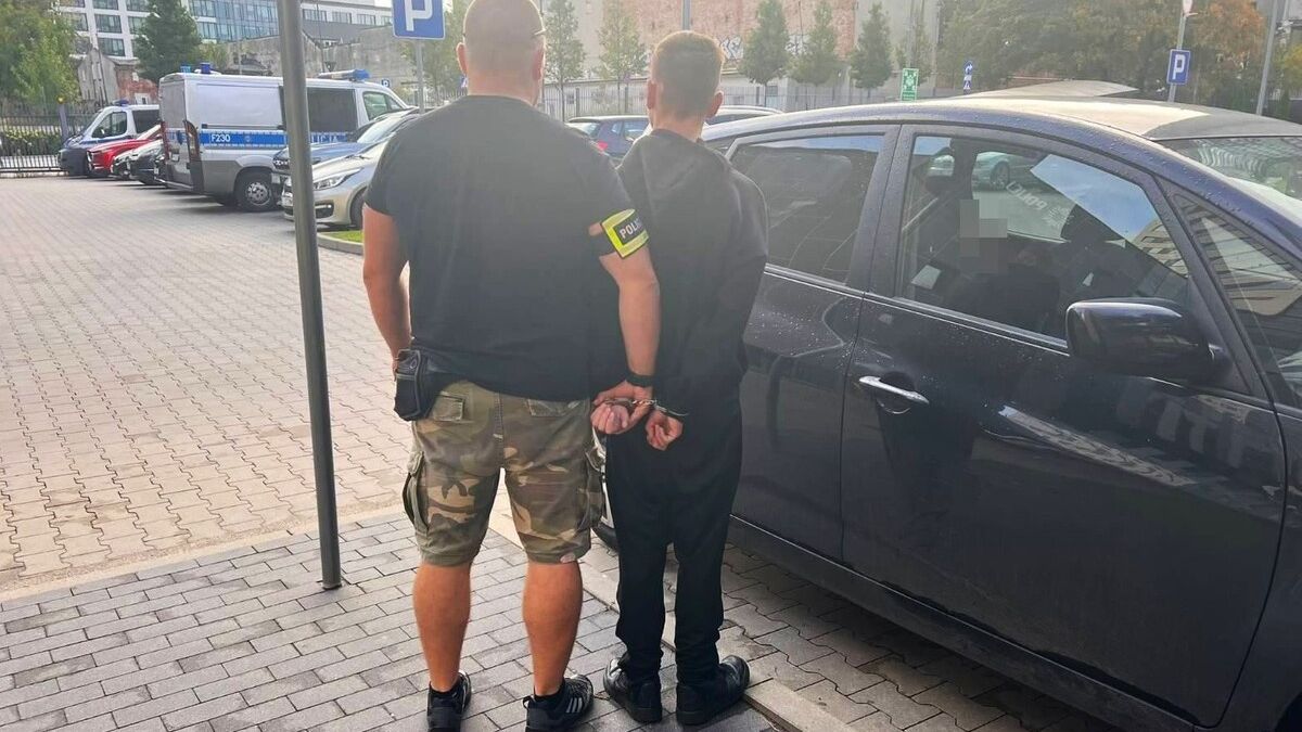 policja