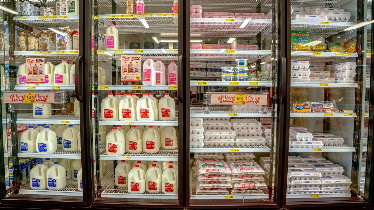 Ptasia grypa paraliżuje USA. Ceny jaj biją rekordy