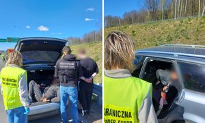 W bagażniku przewoził migrantów. Akcja strażników na granicy polsko-litewskiej