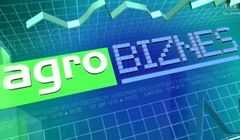 „Agrobiznes” i „Agropogoda” także w porannym paśmie TVP Info