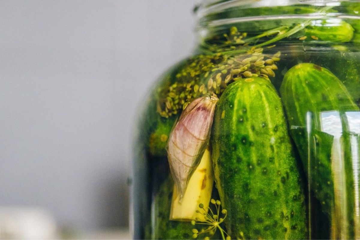 Which dill is best for pickling cucumbers?