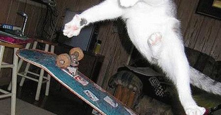 Tony Hawk z nowym akcesorium, to już prawie pewne