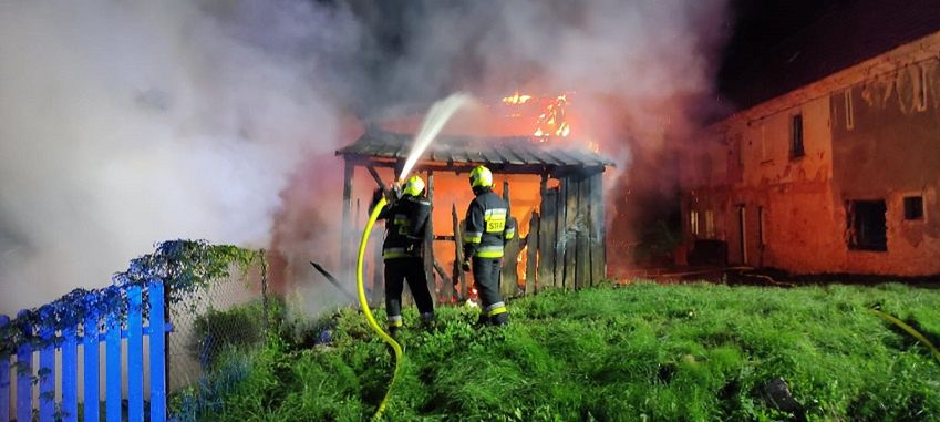 Podpalaczka aresztowana. W wywołanym przez nią pożarze spłonął pies