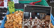 Wysyp grzybów na południu Polski. Ile dziś kosztują?