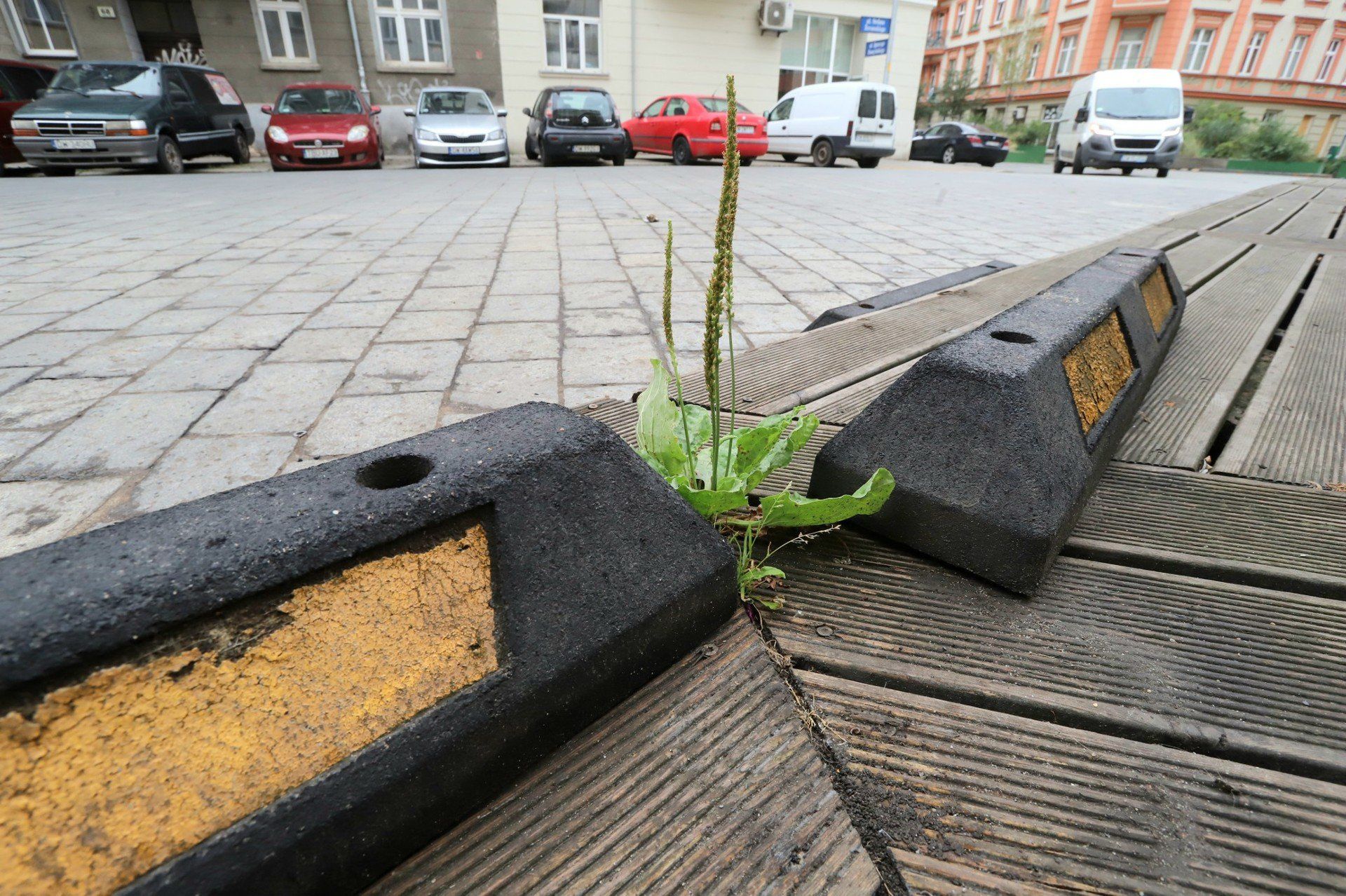 Ulica Daszyńskiego