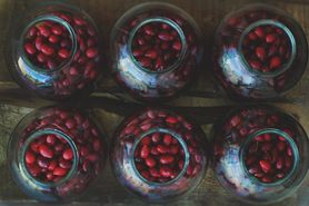 Przed wiekami uwielbiana przez Słowian. Ma 10 razy więcej witaminy C niż porzeczka