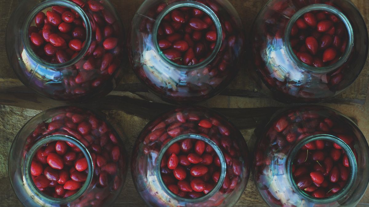 Dlaczego warto polubić owoce dzikiej róży?