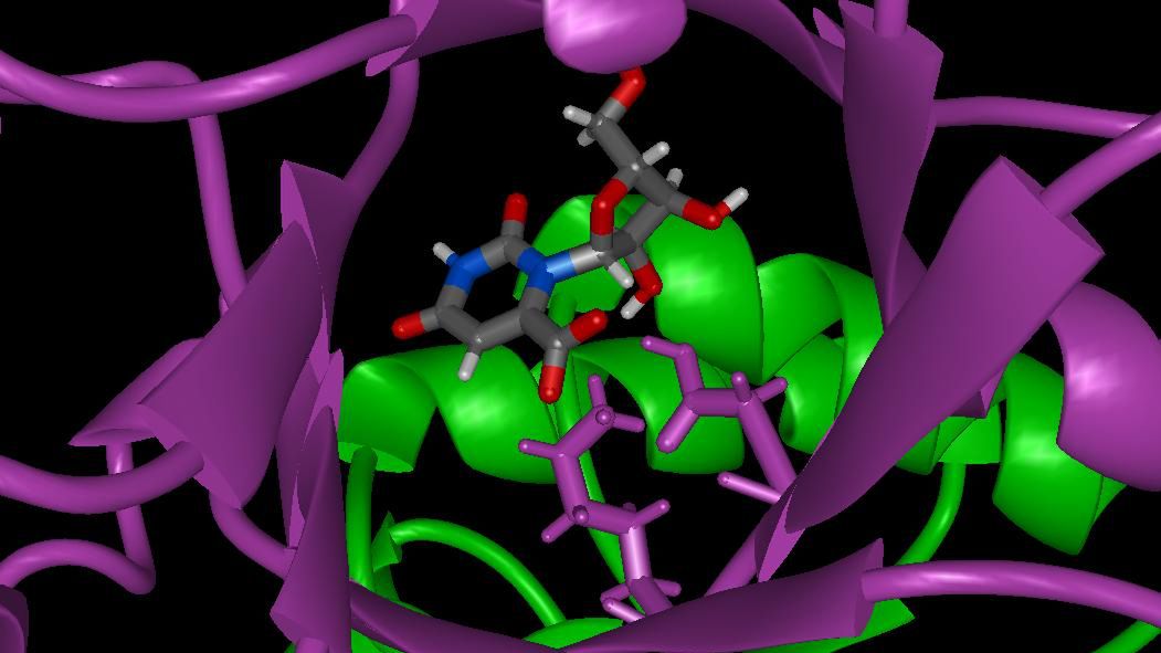 Superkomputer Anton zbada trójwymiarową strukturę białek 1