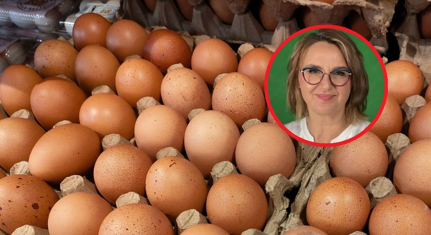 Czy jajka podnoszą cholesterol? Ekspertka od żywienia jasno stawia sprawę