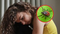 Małe ukłucie, wielki problem. Objawy neuroboreliozy atakują nocą