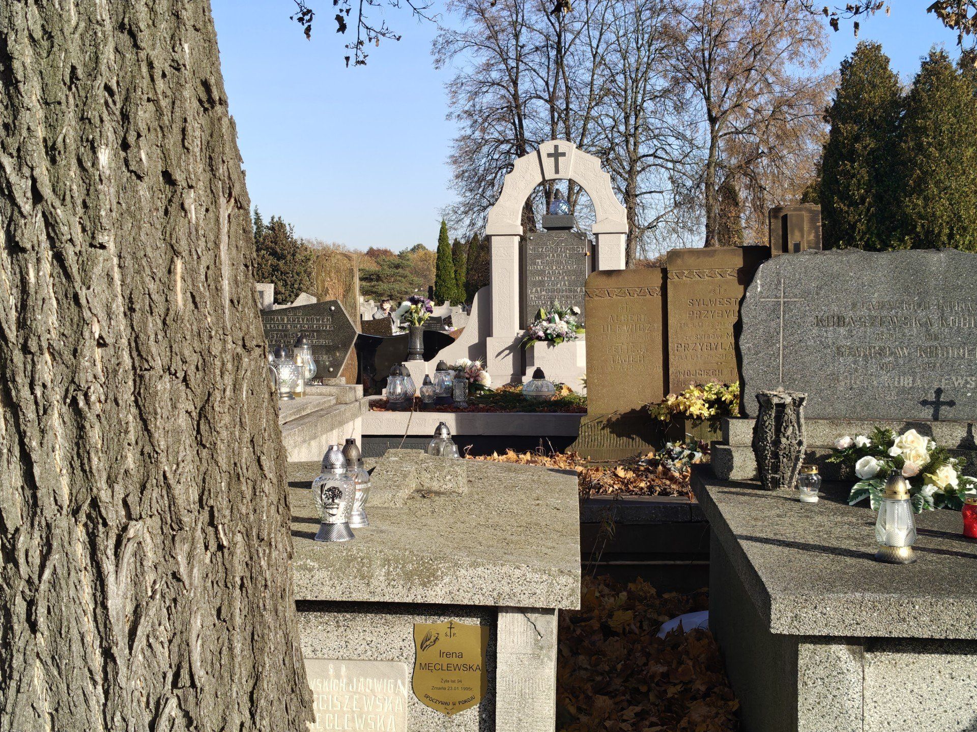 Przewijaj w dół, aby przejść do następnych zdjęć!