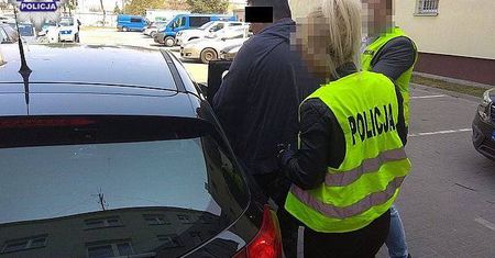 Zastrzelił z wiatrówki koty sąsiada. Tłumaczył, że nie chciał ich zabić