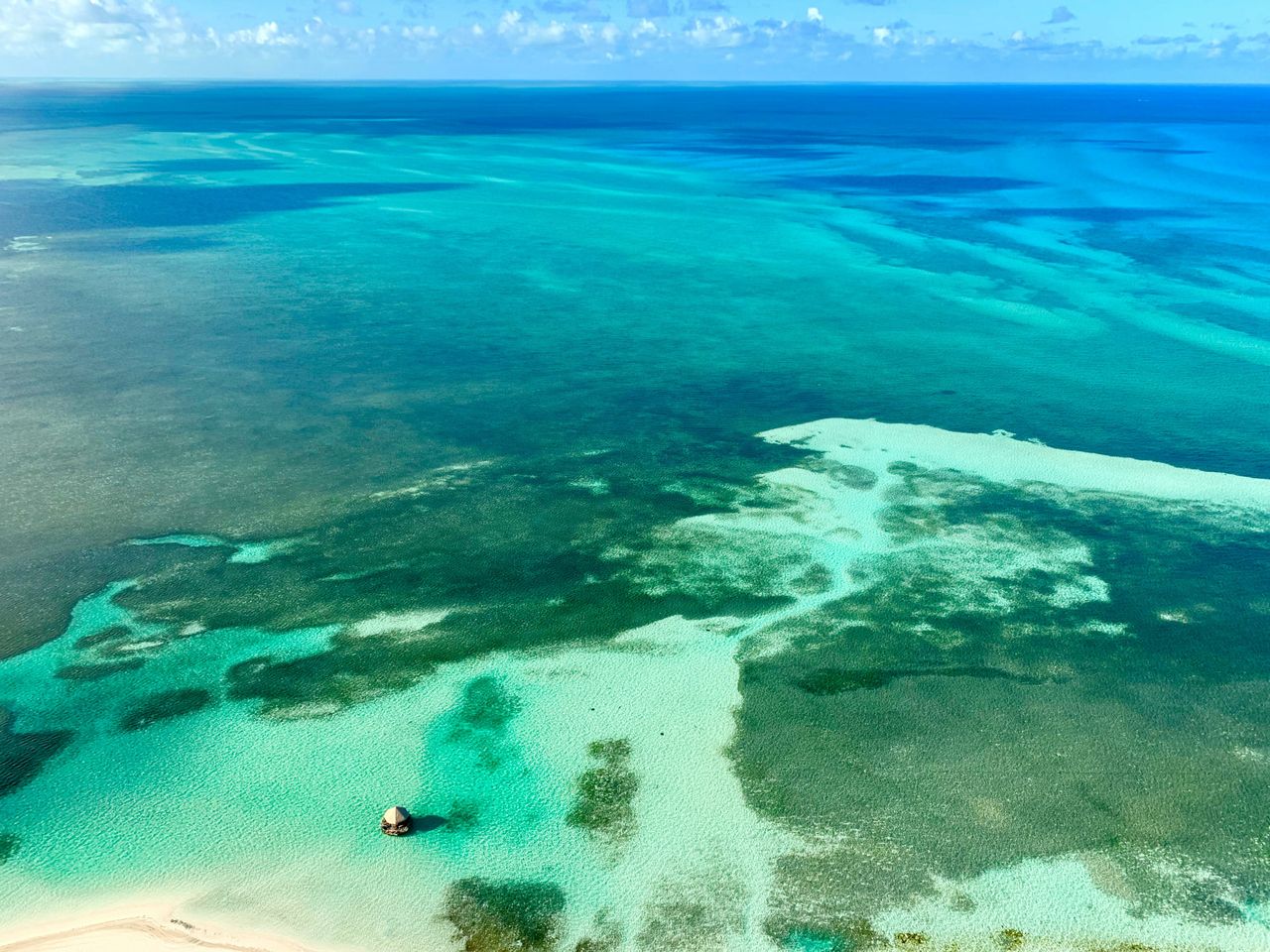 Bahamas blue hole fossils reveal ancient ecosystem secrets