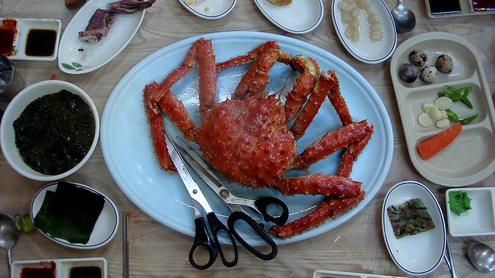 Krab – charakterystyka, zastosowanie w kuchni, gotowanie, przygotowanie, wartości odżywcze, kupowanie i przechowywanie, inne owoce morza