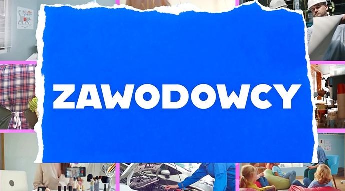 Zawodowcy