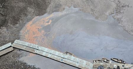 15 ton martwych ryb i alert RCB. Trwa kryzys na Bobrze