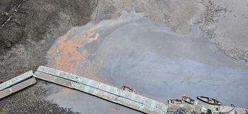 15 ton martwych ryb i alert RCB. Trwa kryzys na Bobrze