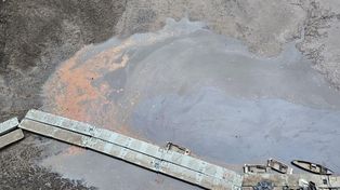 15 ton martwych ryb i alert RCB. Trwa kryzys na Bobrze